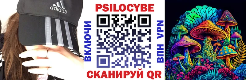 Псилоцибиновые грибы Psilocybine cubensis  купить наркоту  Дмитриев 