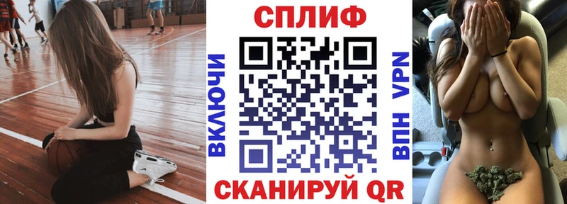 сколько стоит  Дмитриев  Каннабис индика 